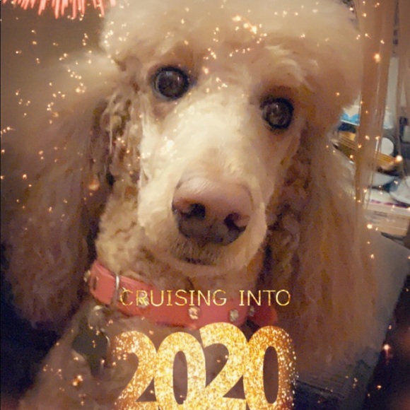 Meet your Posher, Danielle - Picture 1 of 1